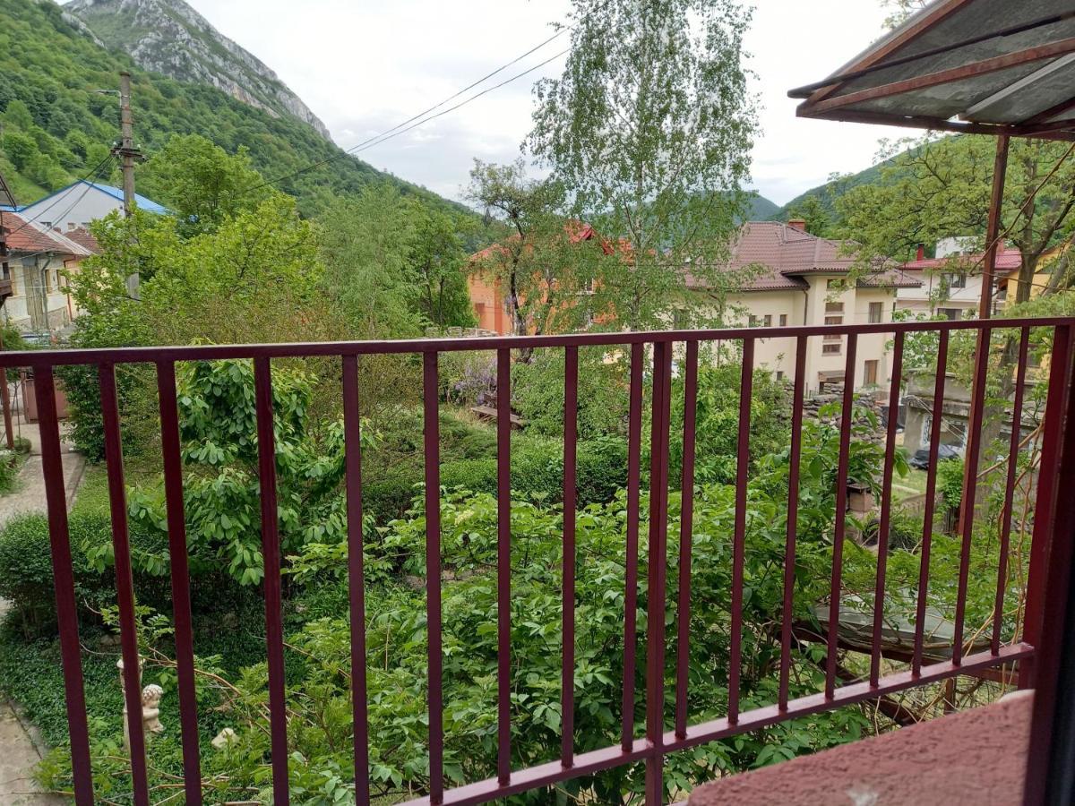 Hotel Elite Băile Herculane Exteriér fotografie
